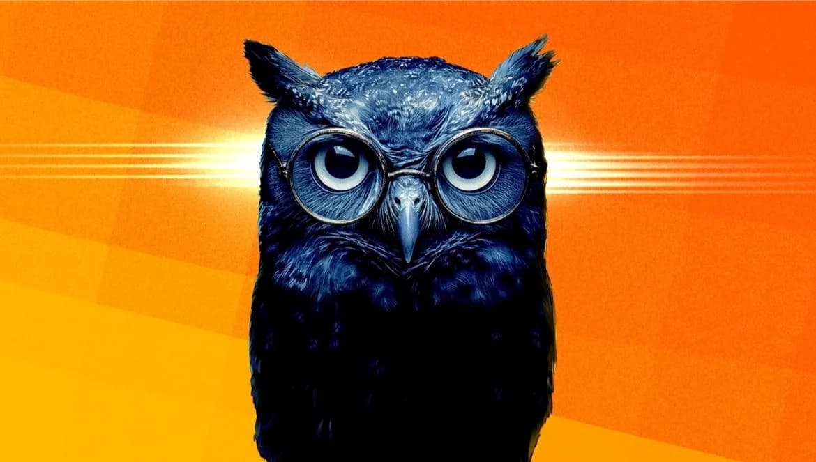 Ilustração de uma coruja azul com óculos redondos, centralizada sobre um fundo laranja vibrante, simbolizando inteligência, análise e conhecimento.